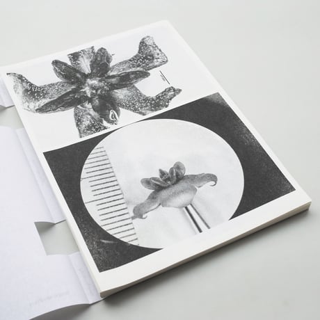 Loh Xiang Yun / Microscopic Images