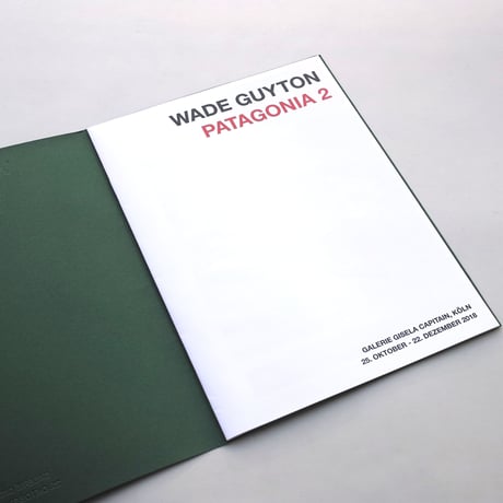 Wade Guyton / PATAGONIA 2