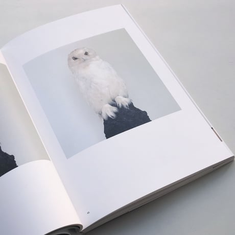 Roni Horn / When You See Your Reflection in Water, Do You Recognize the Water in You?