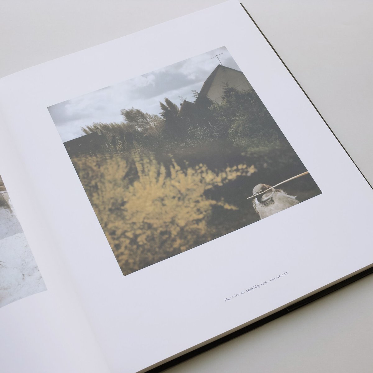 JEAN LUC MYLAYNE 未開封 JEAN LUC MYLAYNE by Jean Luc Mylayne – twelvebooks