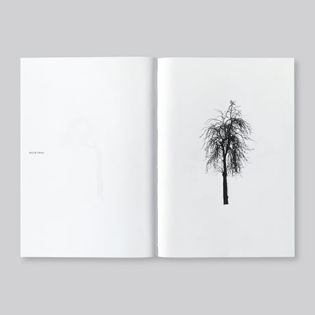 Todd Schulz / Five Leaves Left
