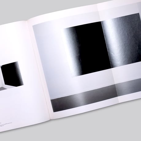 Wolfgang Laib, Richard Long, Richard Serra, Lawrence Weiner