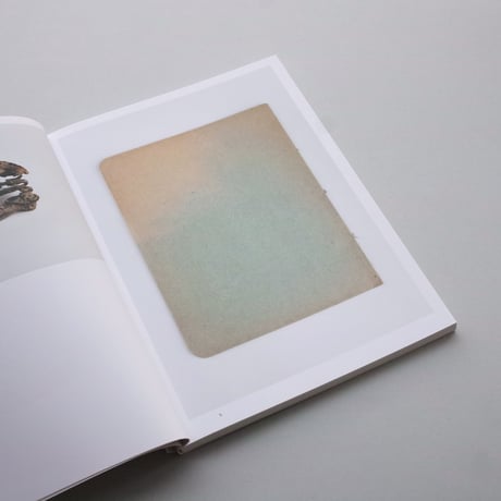 Sema Bekirovic / Reading By Osmosis - Nature Interprets Man