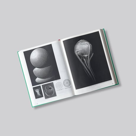 Batia Suter / Parallel Encyclopedia 2 Revised Edition