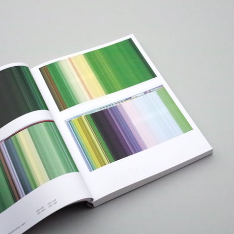 Barry van der Rijt / Exquisite Errors: DMCO-I