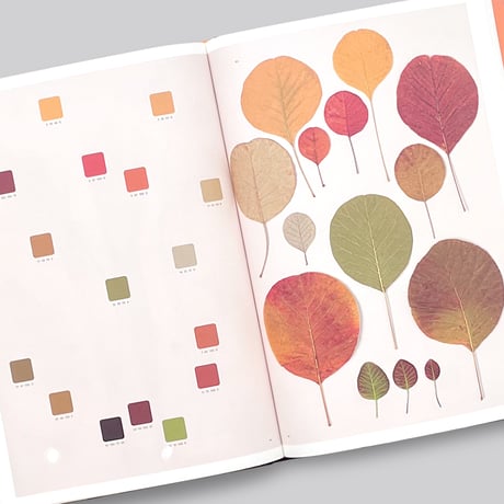 Chromatic Herbarium / Massimo Gardone, Alessandra Muran