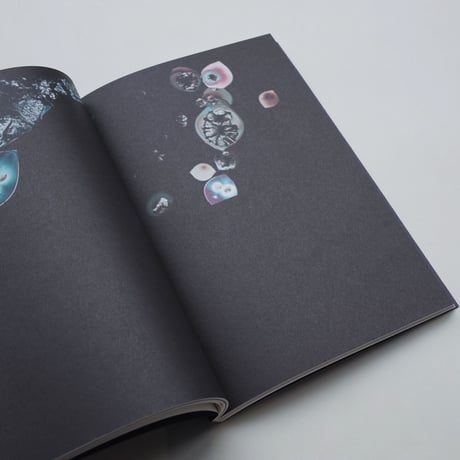 Anika Schwarzlose / Seeing Into Stone