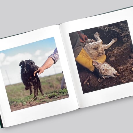 Alessandra Sanguinetti / ON THE SIXTH DAY[SIGNED]