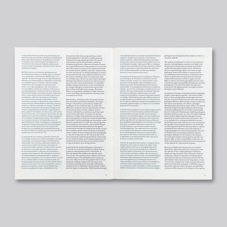 Irene Kopelman / A Matter of Framing. Notes on Representation Vol. 13