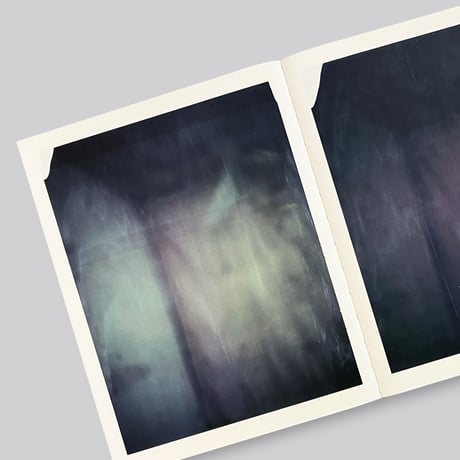 Paolo Roversi / Des oiseaux