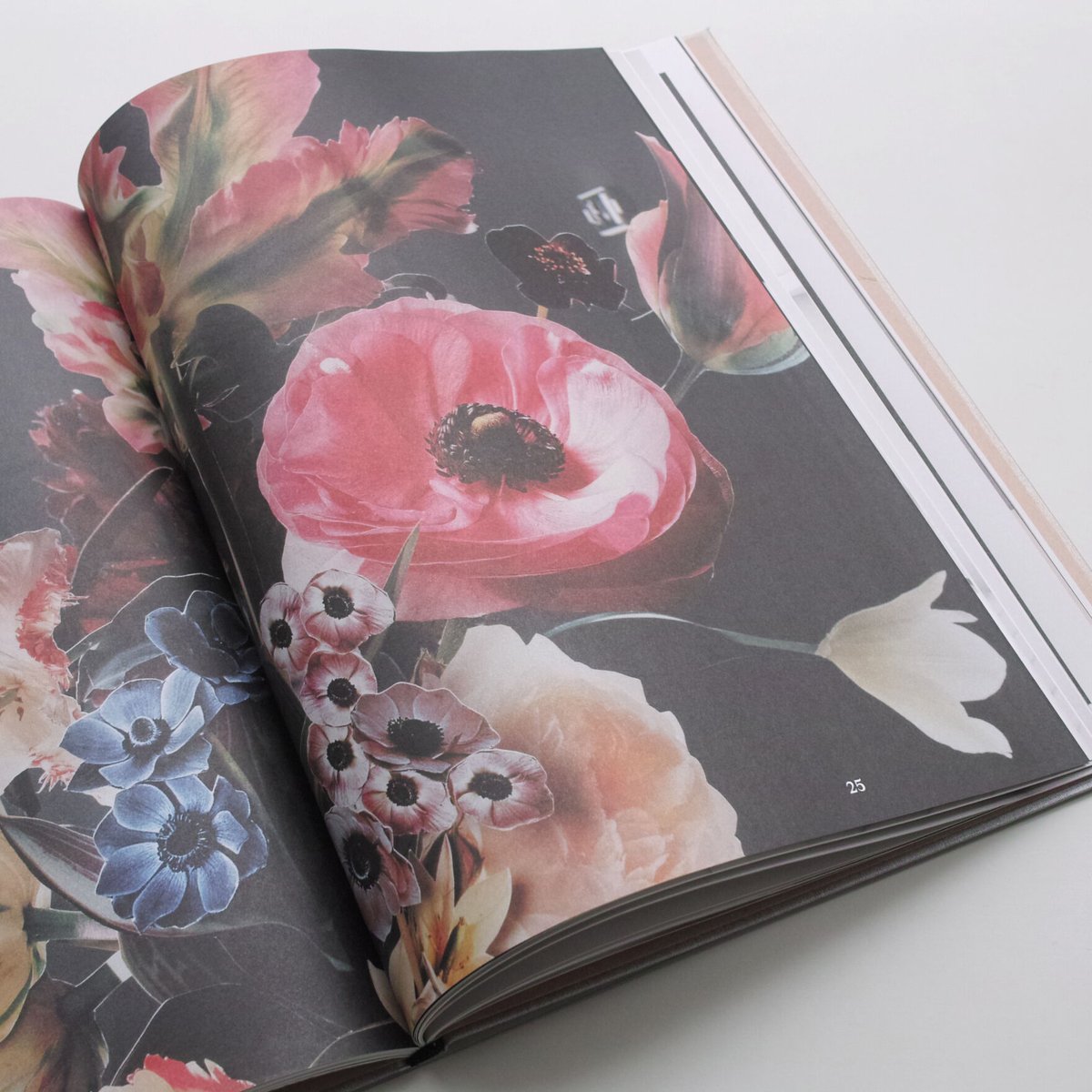 Scheltens & Abbenes / Unfolded サイン入 Scheltens & Abbenes / Unfolded サイン入