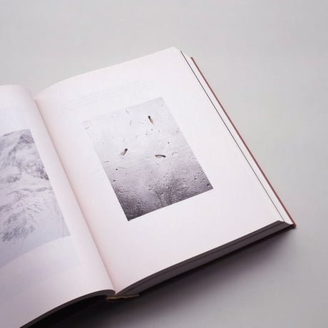 Thomas Krempke / The Whispering of Things