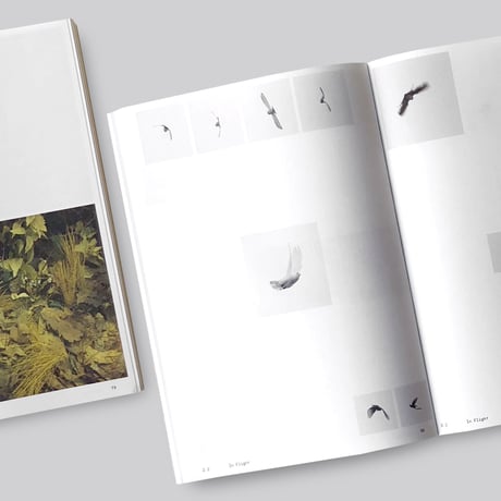 Anne Geene & Arjan De Nooy / Ornithology