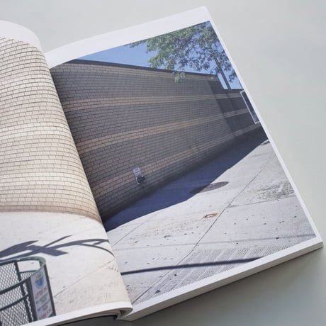 Stanley Greenberg / Springs and Wells, Manhattan and the Bronx