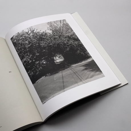 John Gossage / Should Nature Change