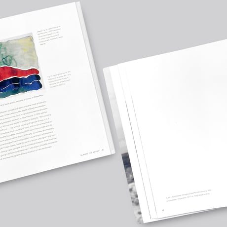 Lisa Volpe / Georgia O'Keeffe, Photographer