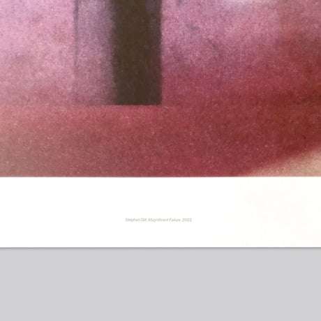 Stephen Gill / Magnificent Failure - Large Poster