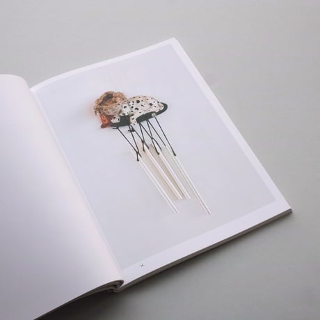 Sema Bekirovic / Reading By Osmosis - Nature Interprets Man