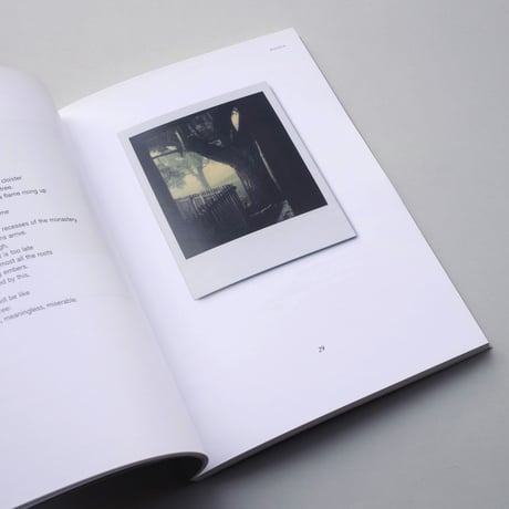 【古書】Instant Light : Tarkovsky Polaroids