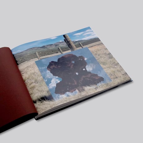 Harold Ancart / Traveling Light
