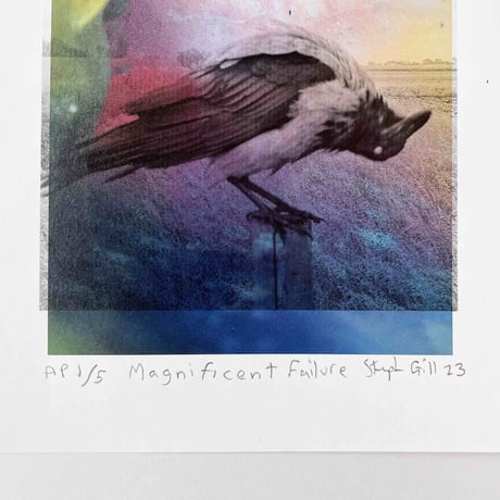 Stephen Gill / Magnificent Failure Print Edition