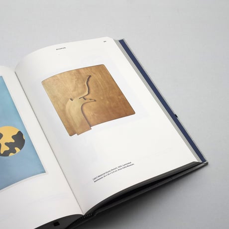 Alvar Aalto / Second Nature