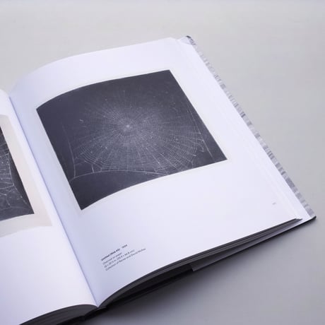 Vija Celmins / To Fix the Image in Memory