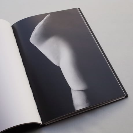 Dan Er Grigorescu / BRANCUSI