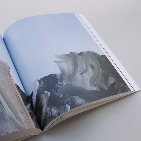 Gerhard Richter / Abstraktion