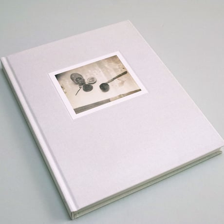 Laura Letinsky / TIME’S ASSIGNATION, THE POLAROIDS