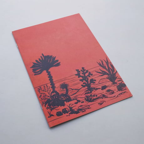 Nicolò Degiorgis / The Long 19th Century Digested Vol. I