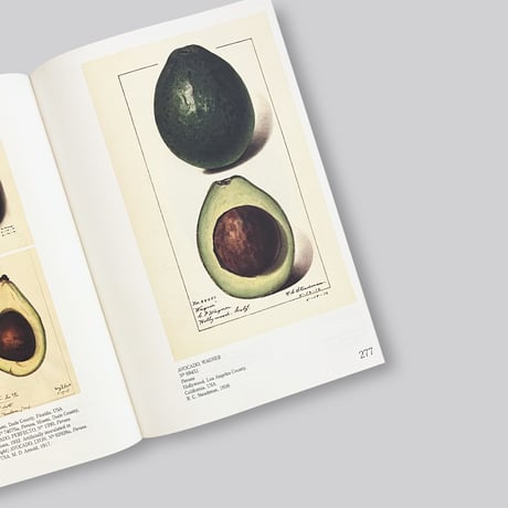 An Illustrated Catalog of American Fruits & Nuts