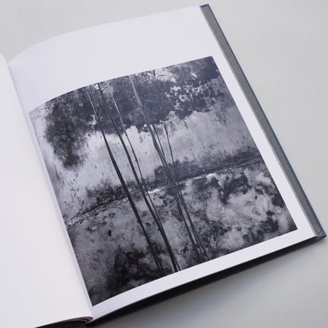 Hélène Binet / The Walls of Suzhou Gardens