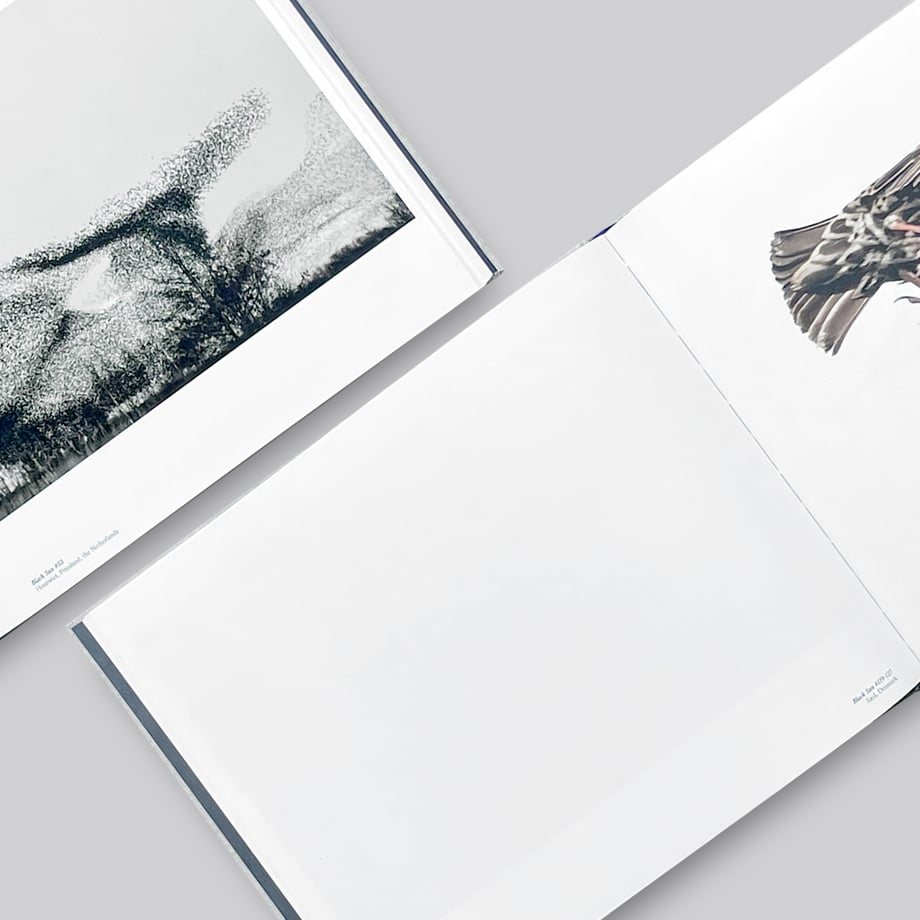 65c314bdddb422050e407de1