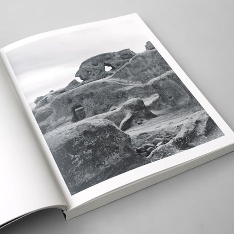 Geert Goiris / World Without Us