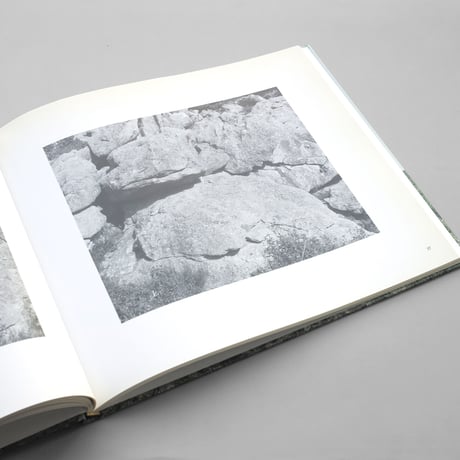 Wolfgang Laib / The Room of Certitudes