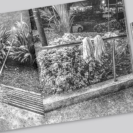 Forming Cityscapes #8 Plants
