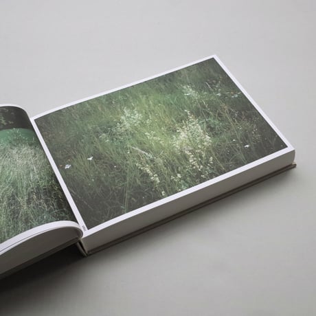 herman de vries & sussane de vries / the meadow