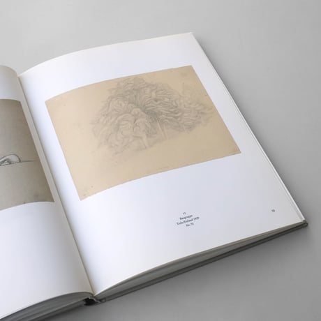 Ewald Mataré / Werkverzeichnis von Sonja Mataré