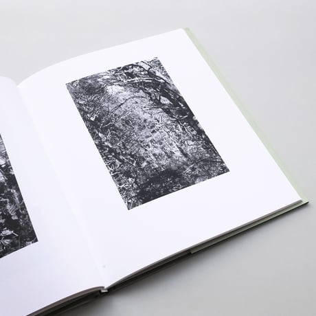 Robert Adams / A Parallel World