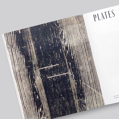 Lygia Pape / Tecelares