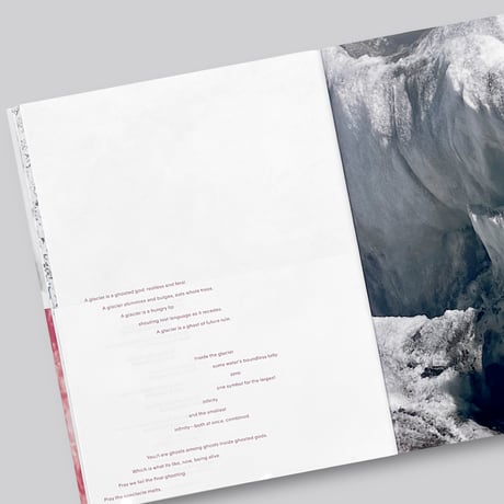 Julian Stettler / The Glacier is Being