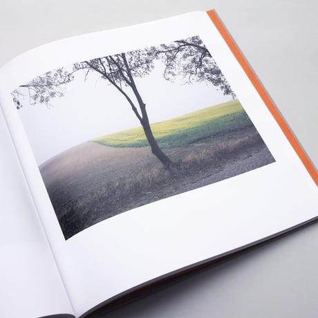 Hans-Christian Schink / Hinterland