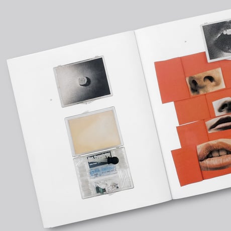 Fluxus New York and Elsewhere