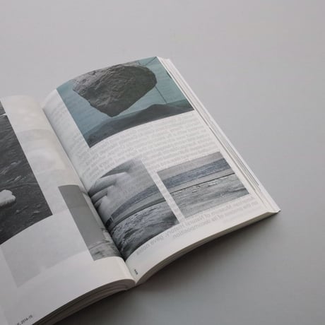 Pierre Huyghe / Pierre Huyghe at the Serpentine