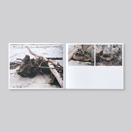 Adam Thorman / Creatures Found