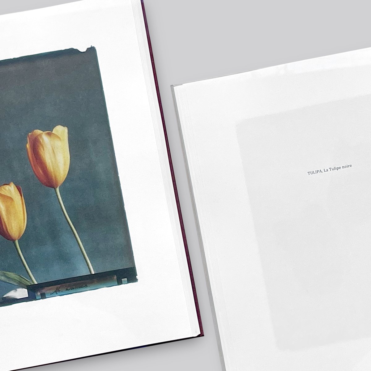LEENDERT BLOK / LES EXTRAVAGANTES | POST