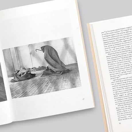 Joseph Beuys / Blitzschlag mit Lichtschein auf Hirsch