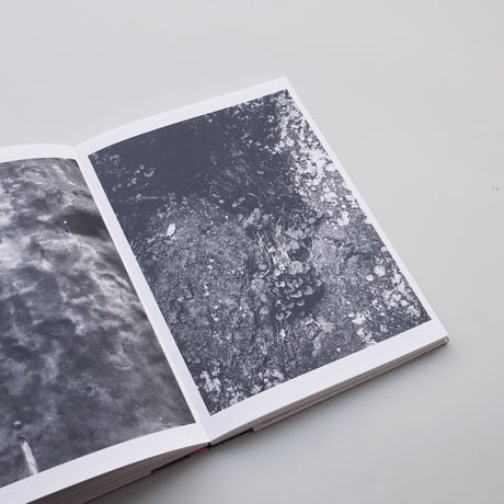 Zin Taylor / Ambient Visions of a Dot (下田市)