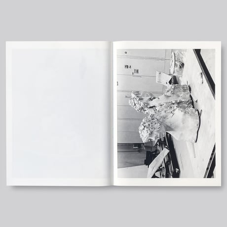 Mark Manders / Studio Snapshots